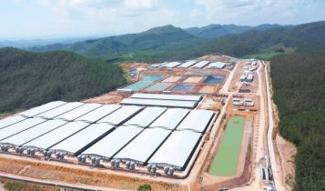 BAF Vietnam revoluciona suinocultura com fazendas verticais para 2,1 milhões de suínos