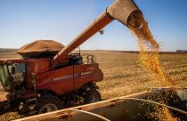 Safra recorde: Biond Agro projeta mais de 176 milhões de toneladas de soja no Brasil em 2025/26