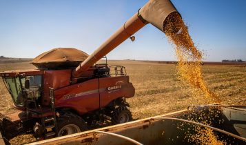 Safra recorde: Biond Agro projeta mais de 176 milhões de toneladas de soja no Brasil em 2025/26
