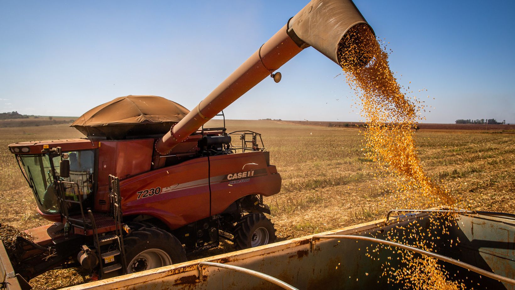 Safra recorde: Biond Agro projeta mais de 176 milhões de toneladas de soja no Brasil em 2025/26