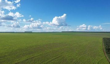 Fazenda em região nobre e com 323 hectares vai a leilão por apenas R$ 17 milhões