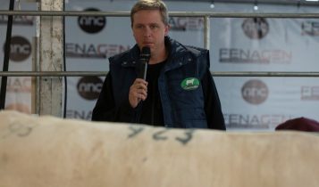 Público da 2ª Fenagen Promebo conhece vencedores do julgamento da raça Charolês