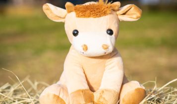 Jessy: mais do que uma mascote, o símbolo de um futuro com raízes no campo