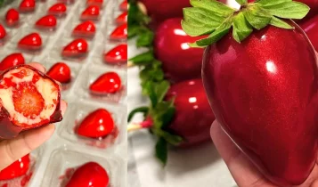 ‘Morango do Amor’ viraliza nas redes e faz preço da fruta dobrar em menos de 30 dias