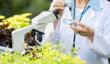 Gigantes do agro se unem para desenvolver produtos biológicos para nutrição vegetal 