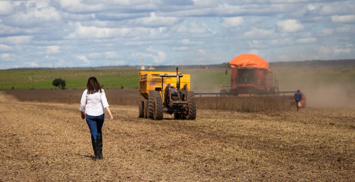 produtora rural mulher na colheita da soja - fotao