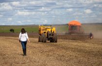 produtora rural mulher na colheita da soja - fotao