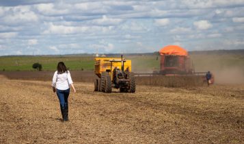 produtora rural mulher na colheita da soja - fotao
