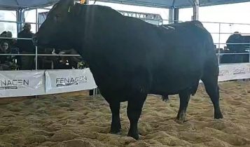 ABS contrata dois campeões Recalada na Fenagen