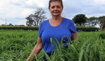 Pesquisadoras são reconhecidas por décadas dedicadas à Ciência