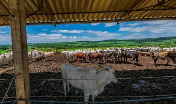 Formação técnica gratuita em Agropecuária no interior de São Paulo