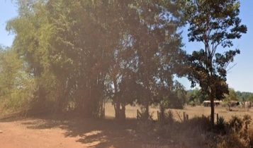 Justiça determina reintegração de posse em área ocupada por 70 famílias em MT