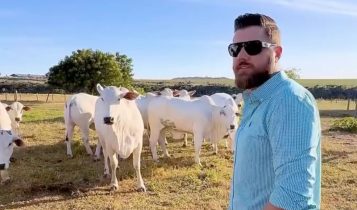 ze neto com animal nelore - nelore joy - vacada