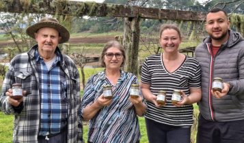Produção de ruibarbo leva agroindústria e cidade da Serra pela primeira vez à Expointer