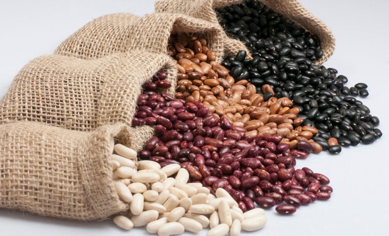 Divulgada subvenção econômica de mais de 21 milhões para equalização de preços de feijão cores e feijão-preto da safra 24/25