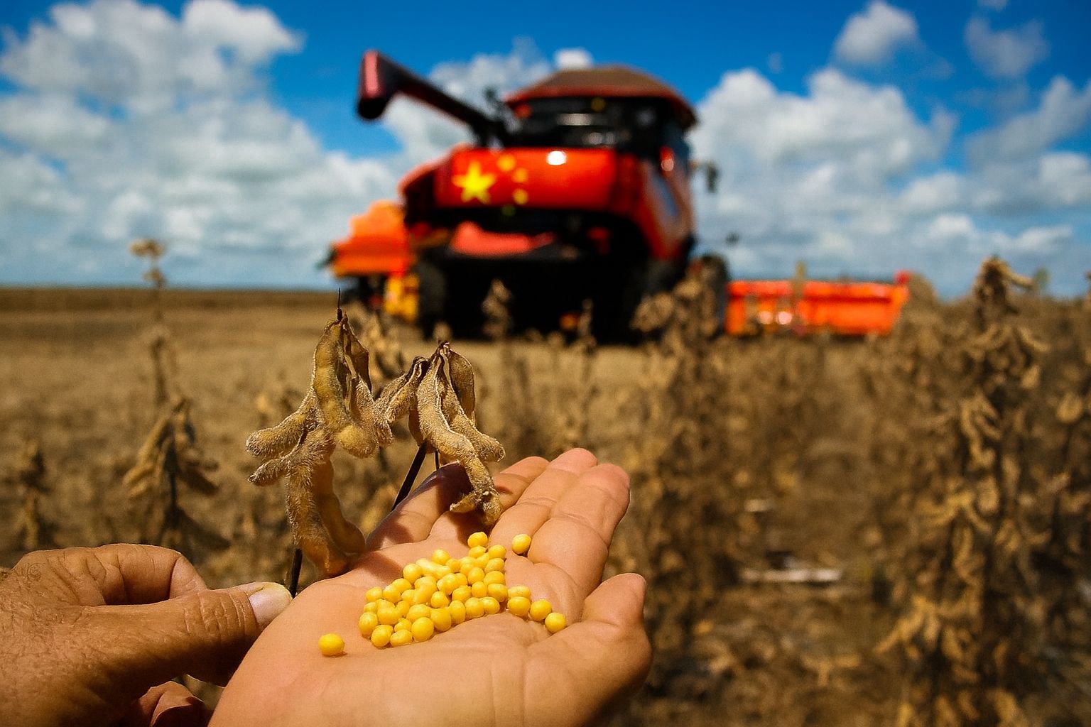 China autoriza compra de terras no brasil