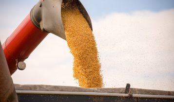 BNDES atinge R$ 10 bilhões de crédito aprovado para o Plano Safra 2025/26