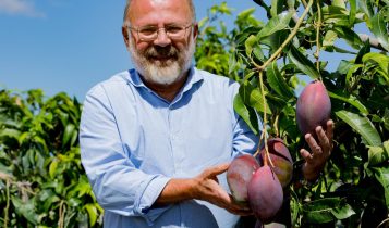 Adoção de tecnologia impulsiona o Brasil como destaque mundial na produção de frutas