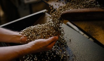Região do Cerrado Mineiro realiza 1º Workshop de Torra com especialistas e campeões brasileiros