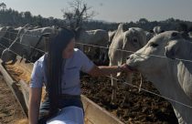 Bem-estar animal no confinamento: tendência de mercado ou necessidade econômica?