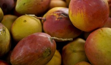Abrafrutas apoia plano e pede atenção a pequenos produtores