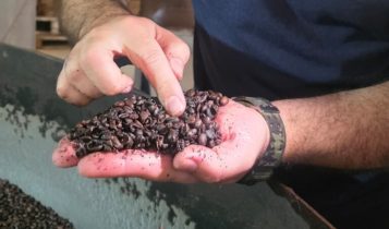 Operação retira mais de 2,4 toneladas de café impróprio do mercado no RJ