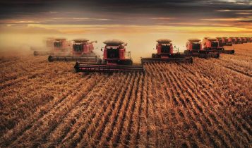 Mesma estrutura, resultados opostos: o que realmente define o sucesso de uma fazenda?