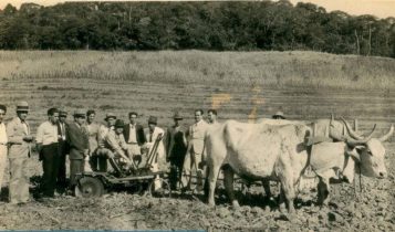 Como era a agricultura no Brasil antes da mecanização