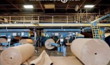 Gigante mundial International Paper vende divisão global de celulose por US$ 1,5 bilhão