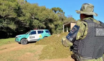 Agricultor é multado e será processado por arrancar musgo em sua lavoura