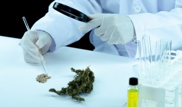 Acordo vai impulsionar o setor de cannabis no Brasil