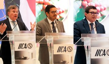 A agricultura tropical é crucial para o planeta e deve receber mais apoio para transformar sua riqueza natural em produtividade