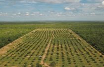 IAC reúne 165 laboratórios em programa internacional de análise de solos