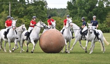 “Futebol de cavalo”: conheça o esporte que une diversão e treinamento equestre
