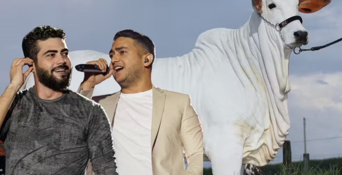 Vaca de Henrique e Juliano, avaliada em R$ 4 milhões, é destaque em exposição no interior de SP