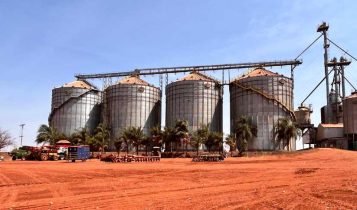 NetZero investe R$ 15 mi em 1ª fábrica de biochar a partir da cana no Brasil