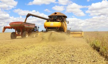 PAM 2024: Com queda nos preços e na safra de grãos, valor da produção agrícola cai pelo segundo ano seguido