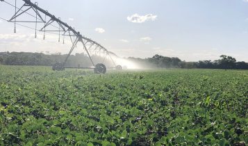Capacitação em irrigação conta com apoio da Embrapa