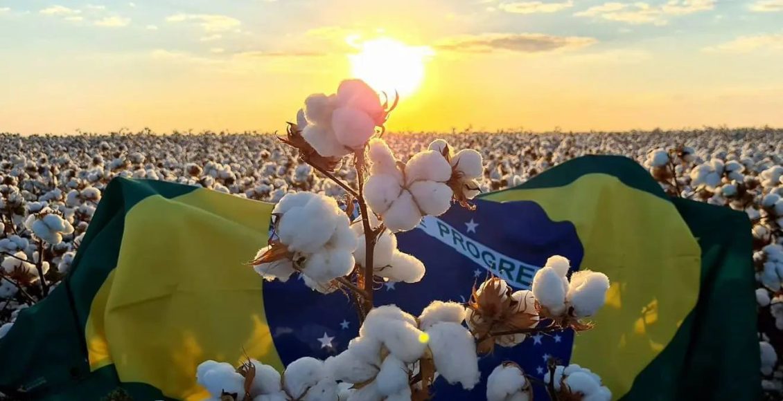 bandeira do brasil algodão