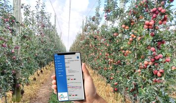 Aplicativo para celular ajuda produtor a aprimorar a irrigação de macieiras