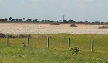 Governo do Brasil lança sistema para monitoramento diário da Amazônia