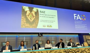 Iniciativa brasileira RAIZ ganha visibilidade internacional em evento da FAO, em Roma
