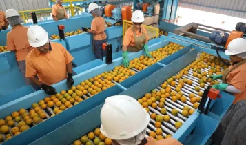 Exportação de produtos atingidos por tarifaço cai 22% em agosto
