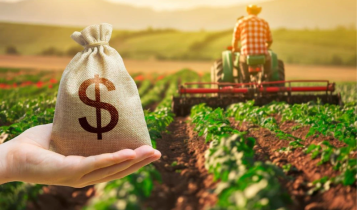 Gestão financeira no agro: como planejar o capital de giro para a safra seguinte