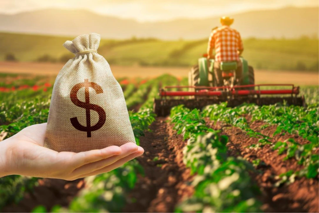 Gestão financeira no agro: como planejar o capital de giro para a safra seguinte