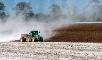 Calcário agrícola: como usar, quais as vantagens e sua eficiência no solo