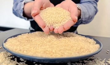 Preço do arroz continua a cair e aumenta preocupação da cadeia produtiva