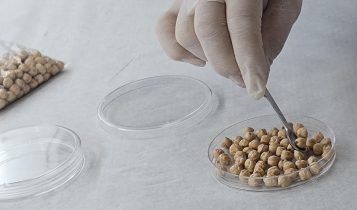 Experimento com plantas da Embrapa em voo suborbital será apresentado em principal congresso mundial sobre o tema