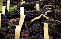 Brasil abre mercado inédito de exportação de uva no Azerbaijão