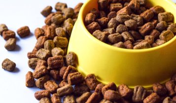 Abertura de mercados para o Brasil na Malásia e em Burkina Faso